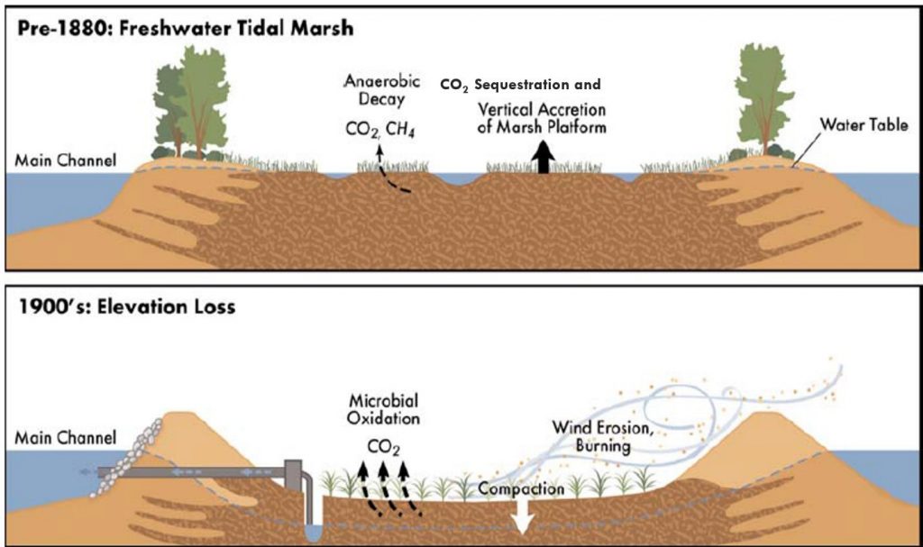 Delta subsidence graphic