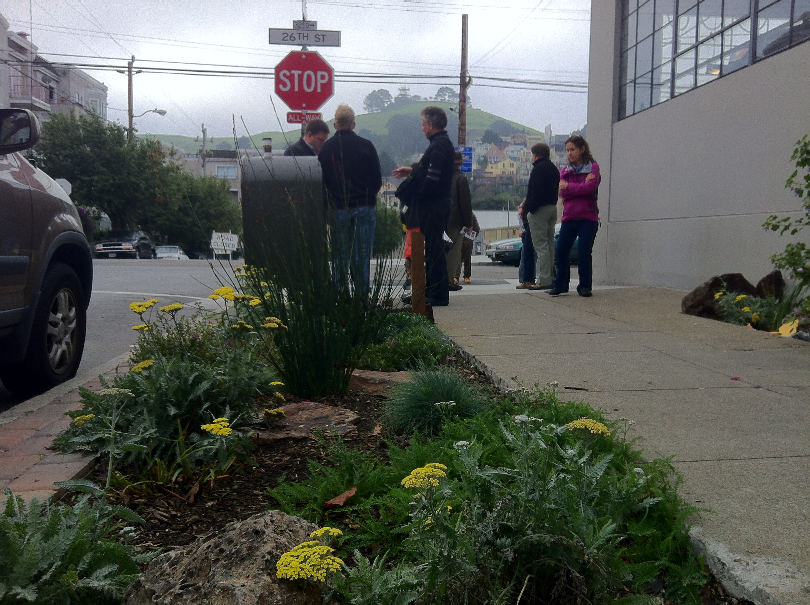 SF Urban Forest LID site visit