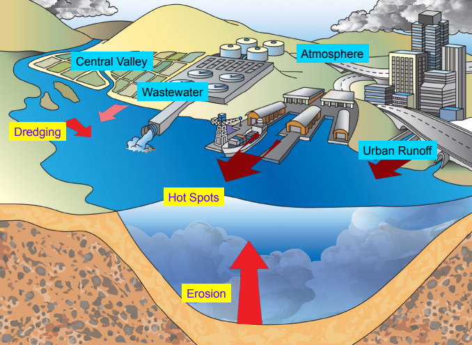 Taking Action for Clean Water – PCBs in Caulk Project