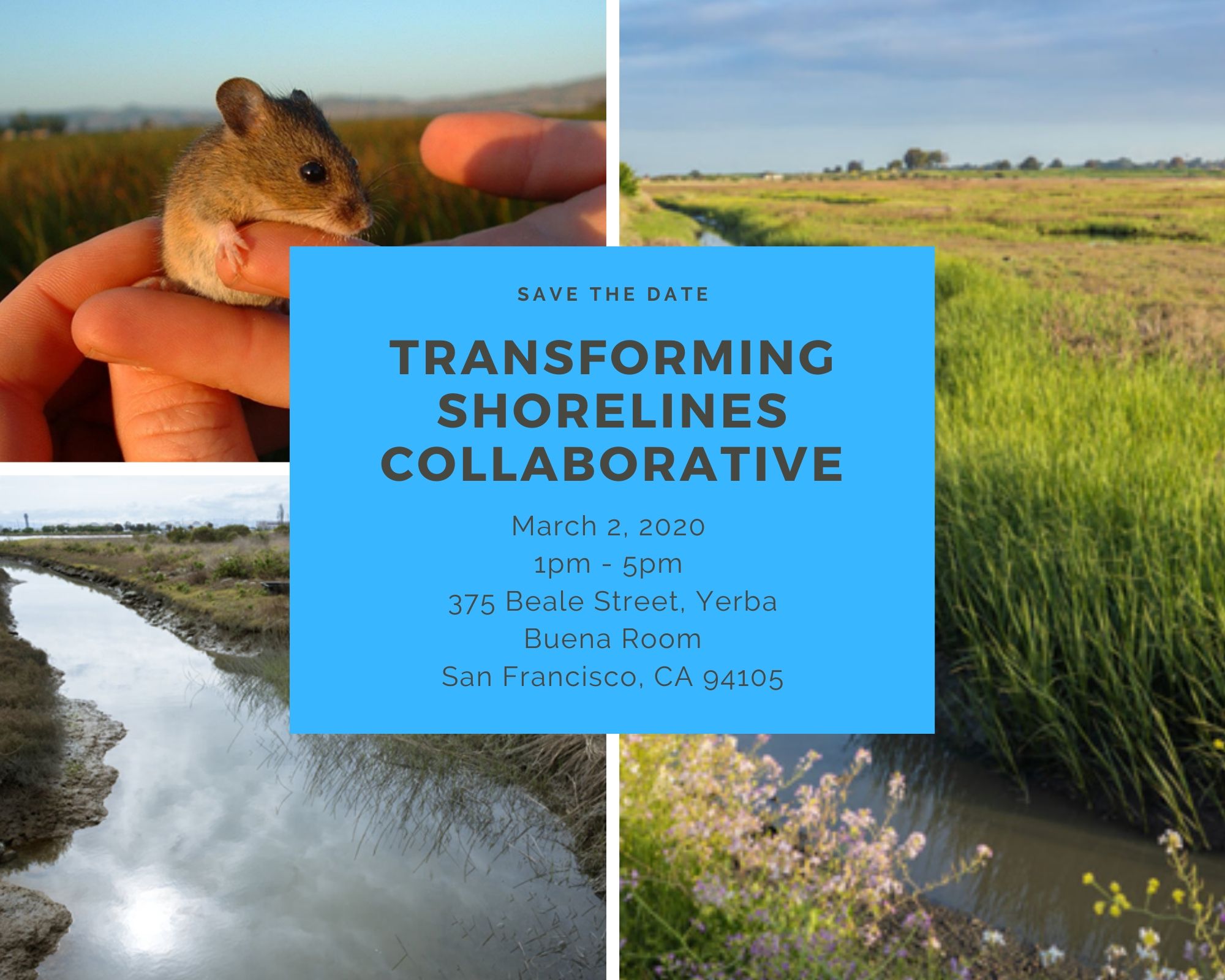 Transforming Shorelines Project