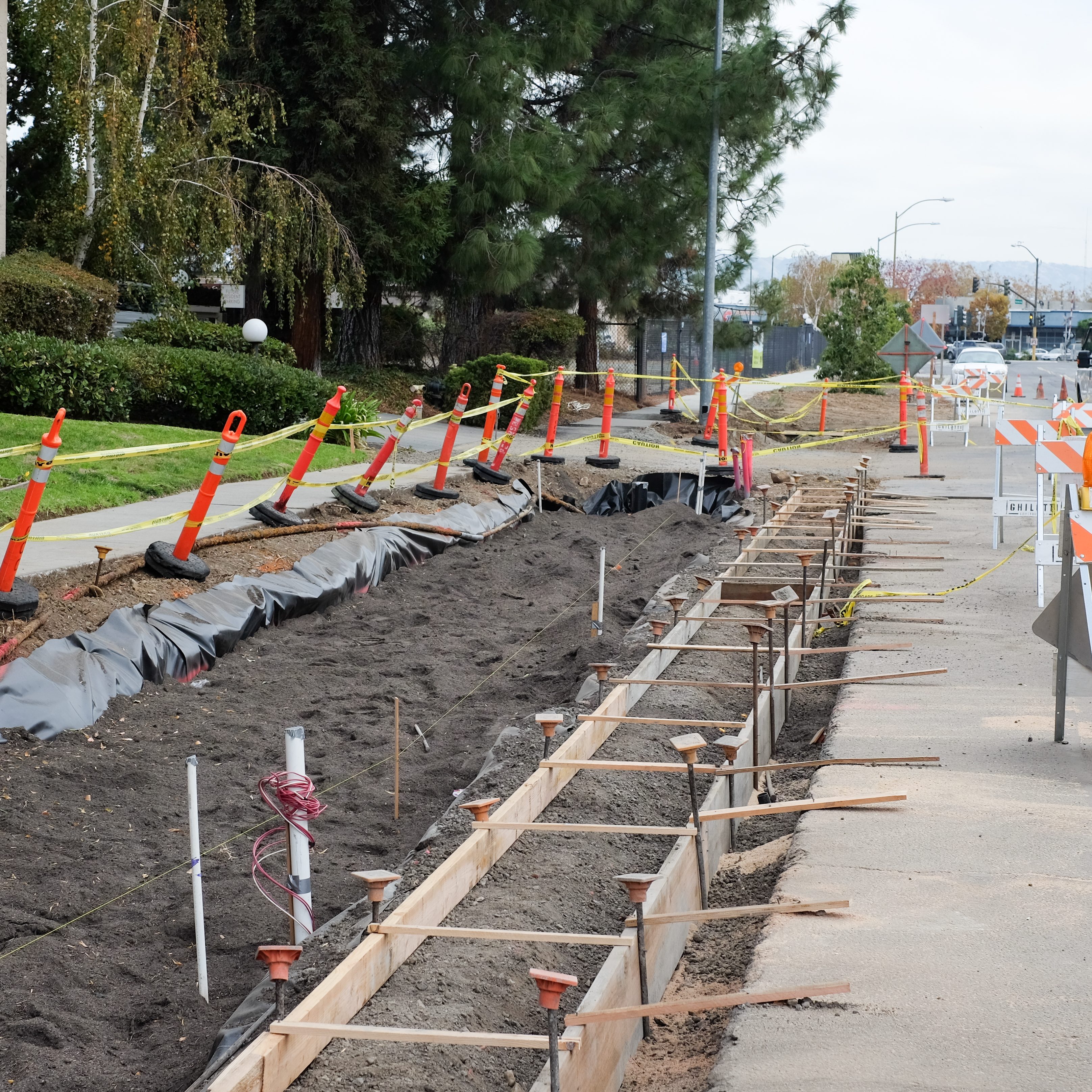 Construction of an urban greening project