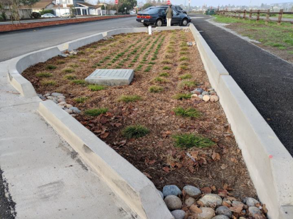 SJGreenStreetDemo image of bioretention site