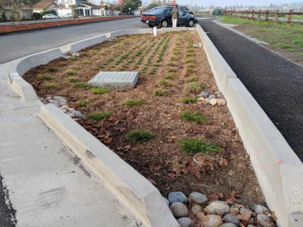 image of bioretention site