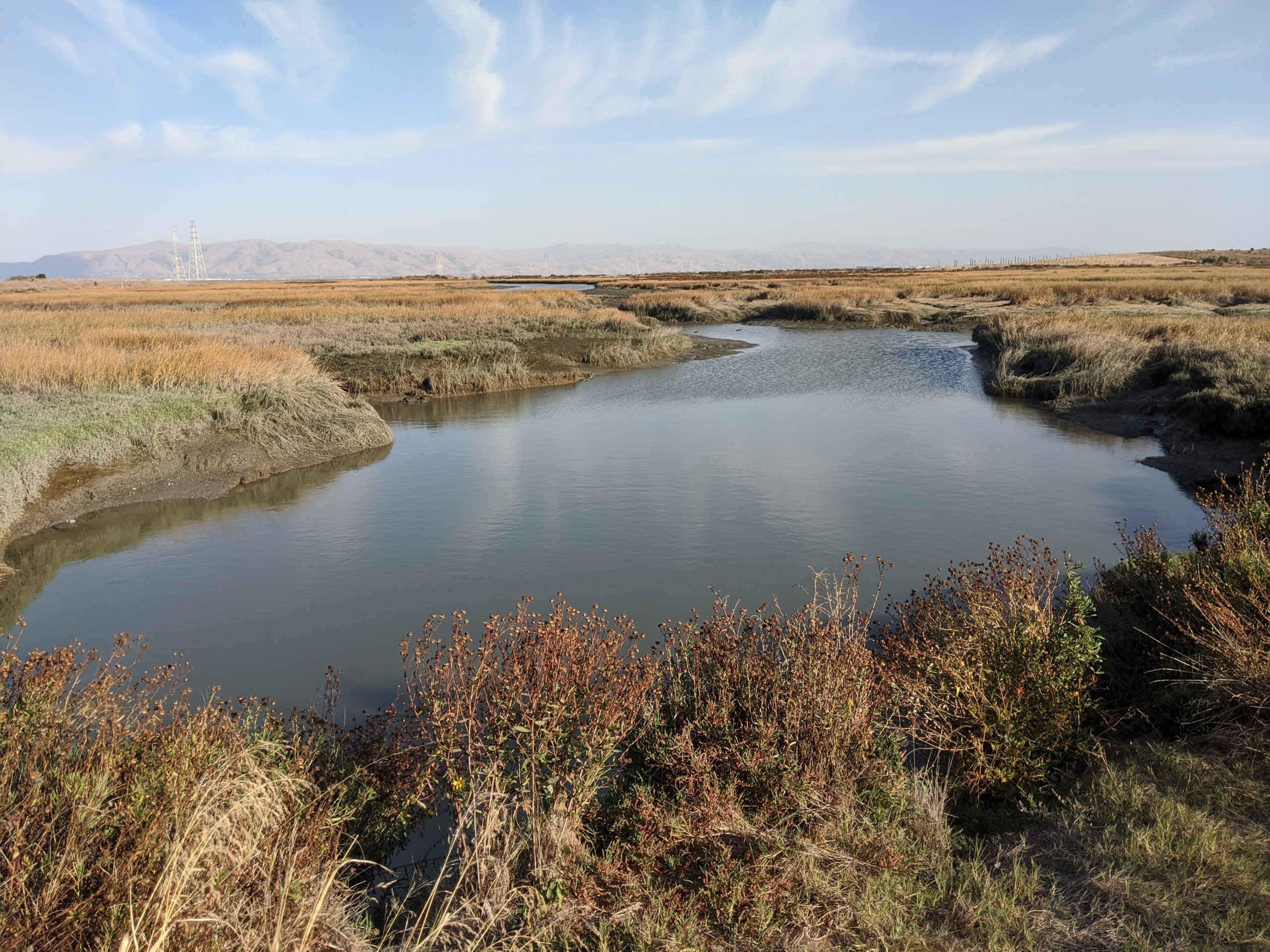 Palo Alto Horizontal Levee Project