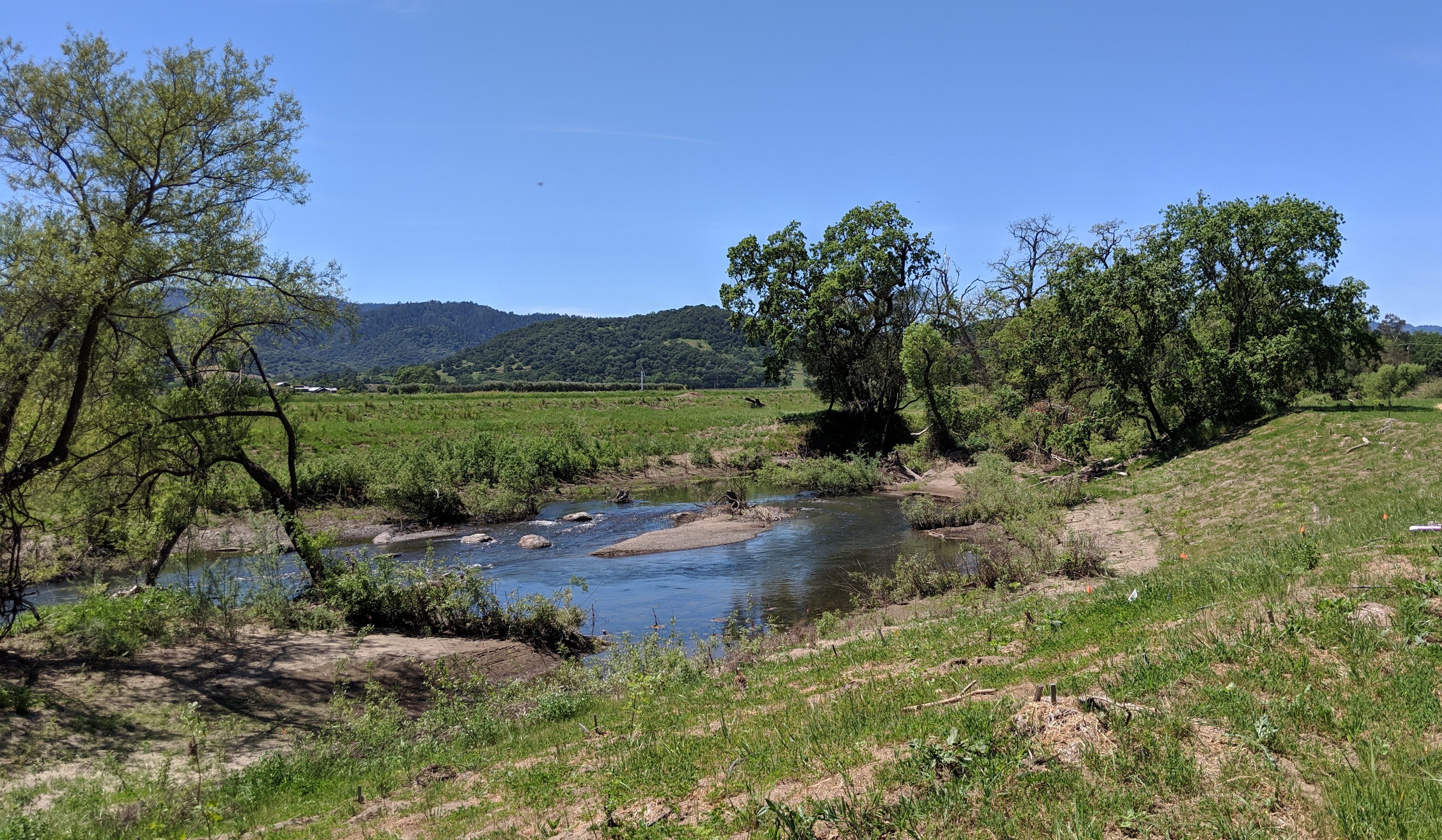 Napa River restoration group site image