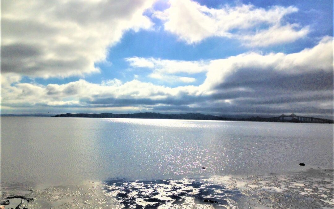 National Estuaries Week is Now