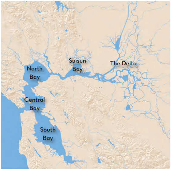 Regions of the Estuary