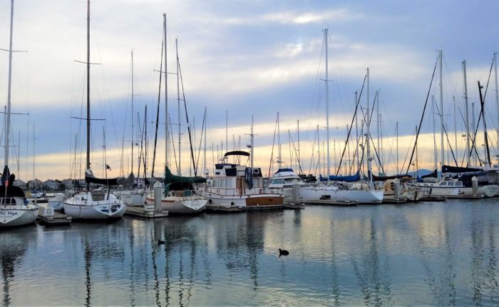 Boats in a marina