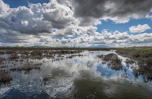 Clouds reflected in flooded wetland