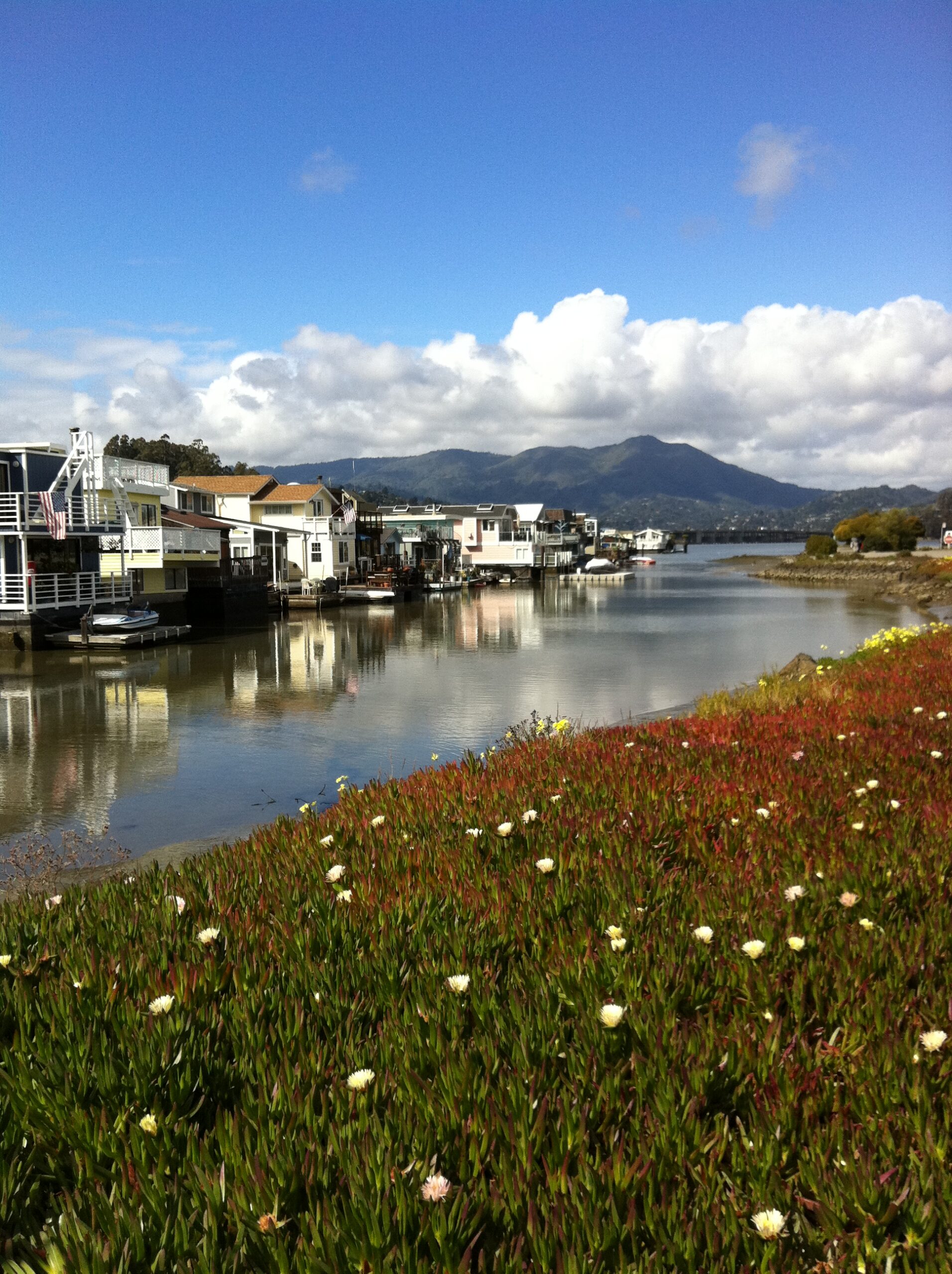 Houses on the water