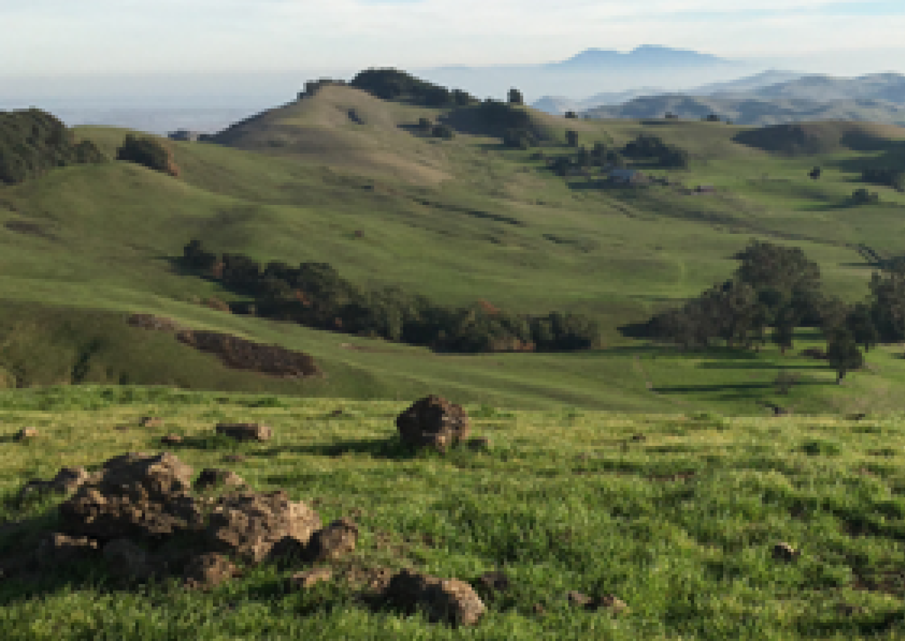 pcas2 Green hilly landscape