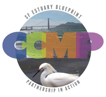 CCMP 2016 Logo