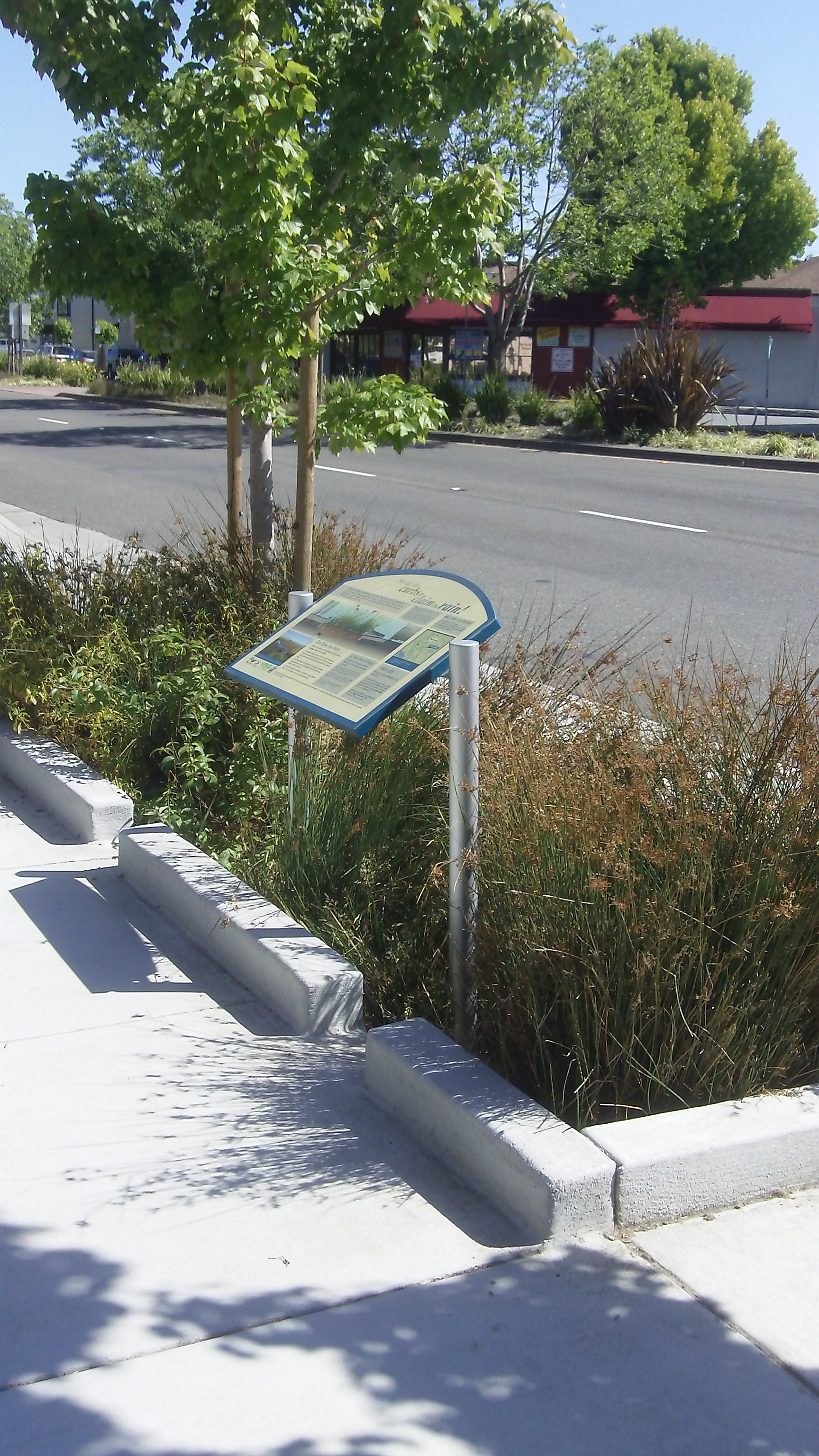 003 (2) Green infrastructure