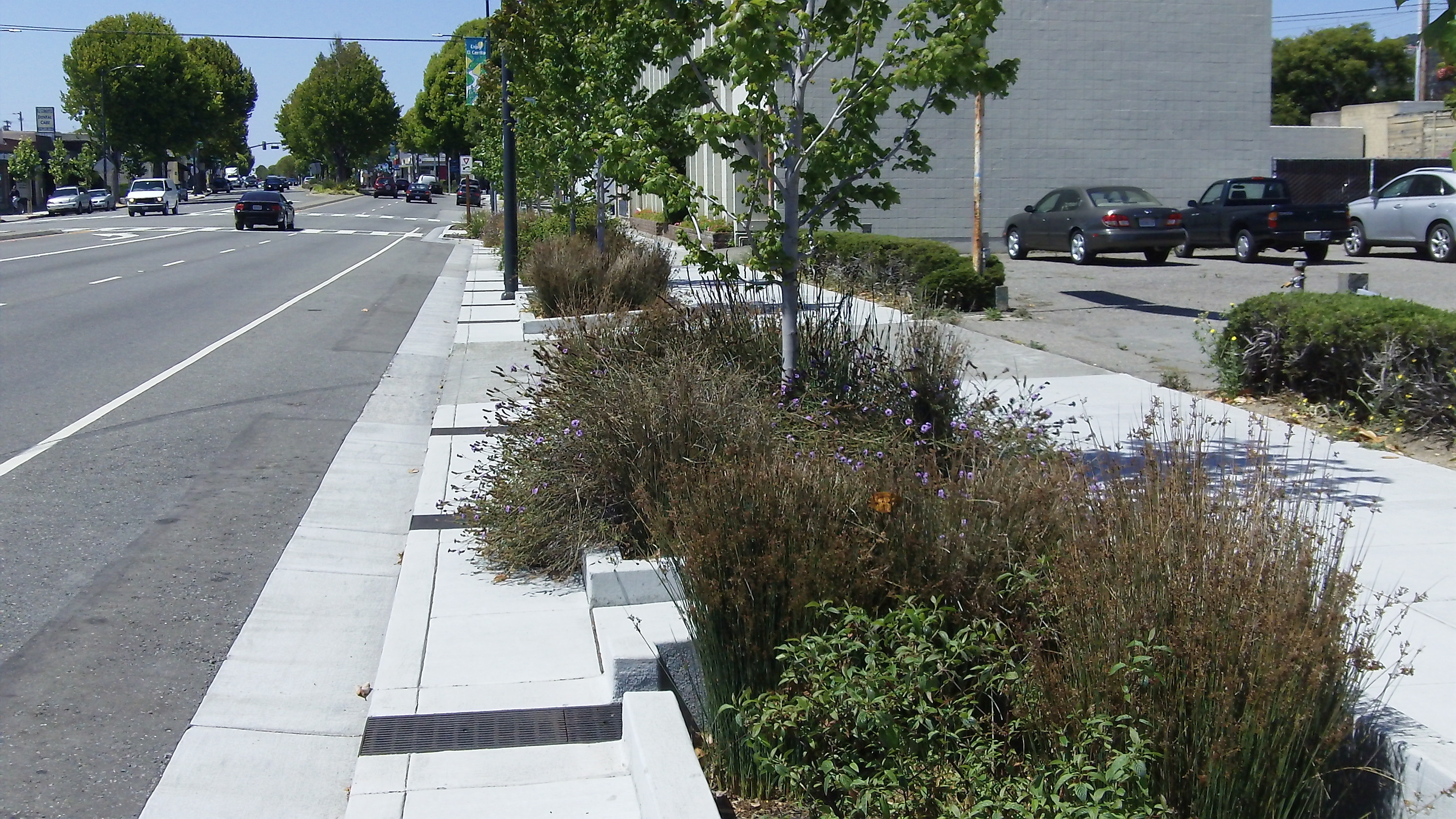 San Pablo Avenue Green Stormwater Spine