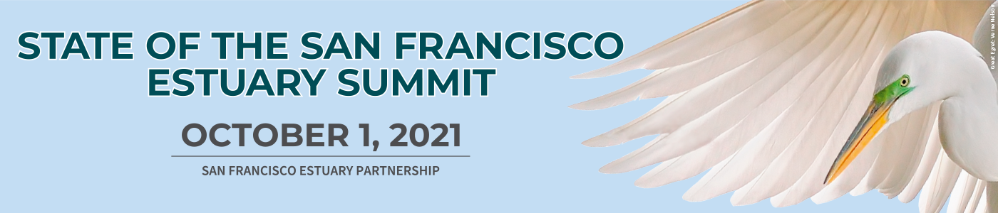 Banner for 2021 State of the Estuary Summit