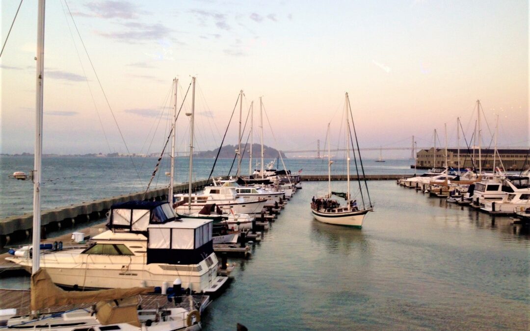 Survey: Share Thoughts on Challenges Facing the San Francisco Estuary