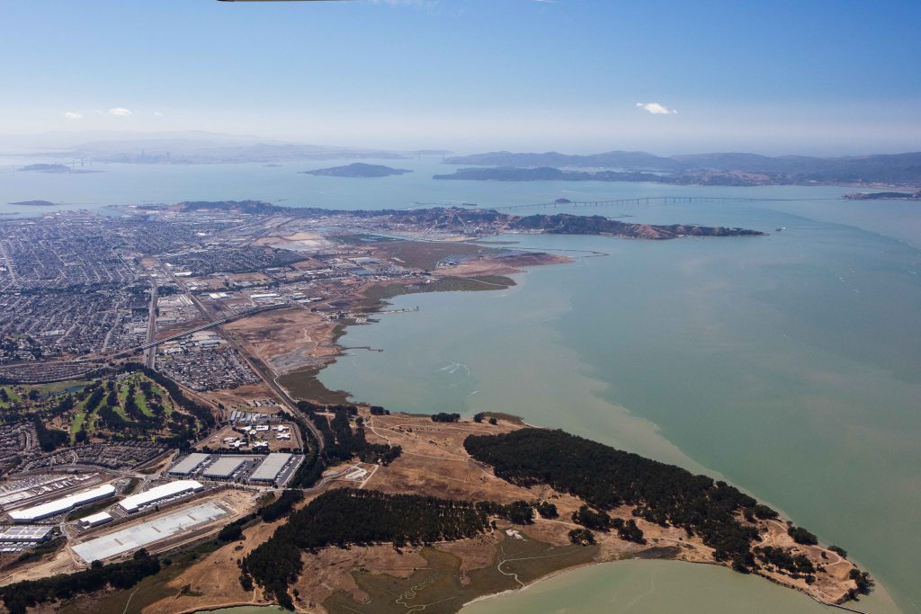 Baylands Habitat