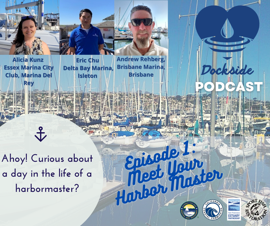 Podcast episode 1: Meet your harbormaster