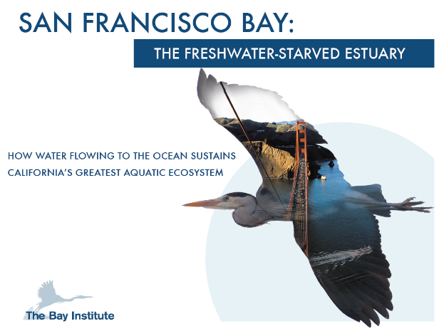 SFBayBird San Francisco Bay Insitute Bird