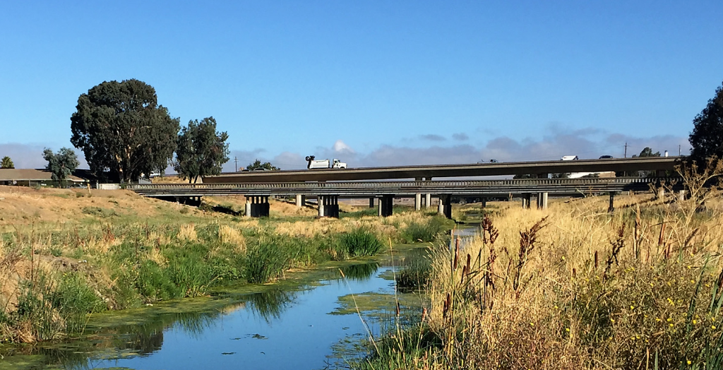 Walnut Creek near its outlet into San Francisco Bay 