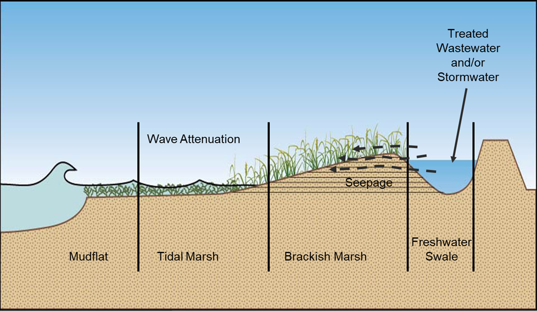 First mile science diagram