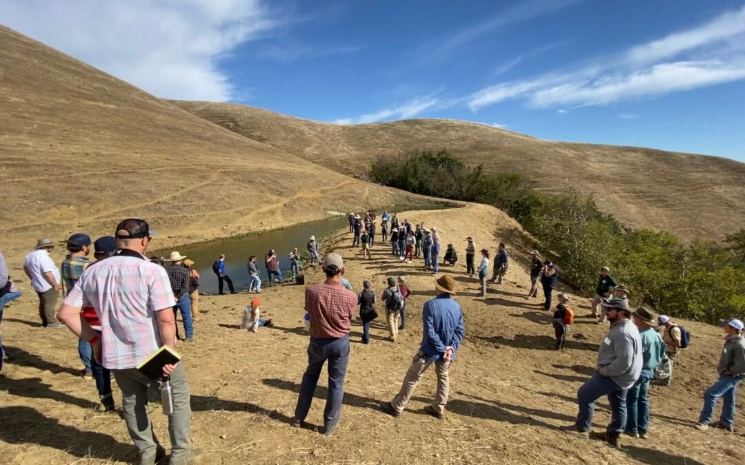 Enhancing the Habitat Value of Stock Ponds: 2022 Workshop