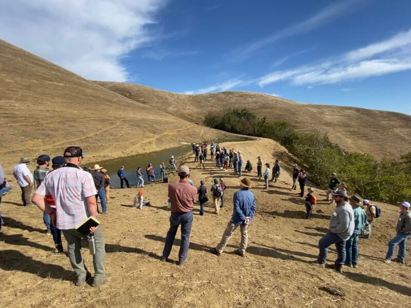 Group of people visiting a pond on a dry hillside.