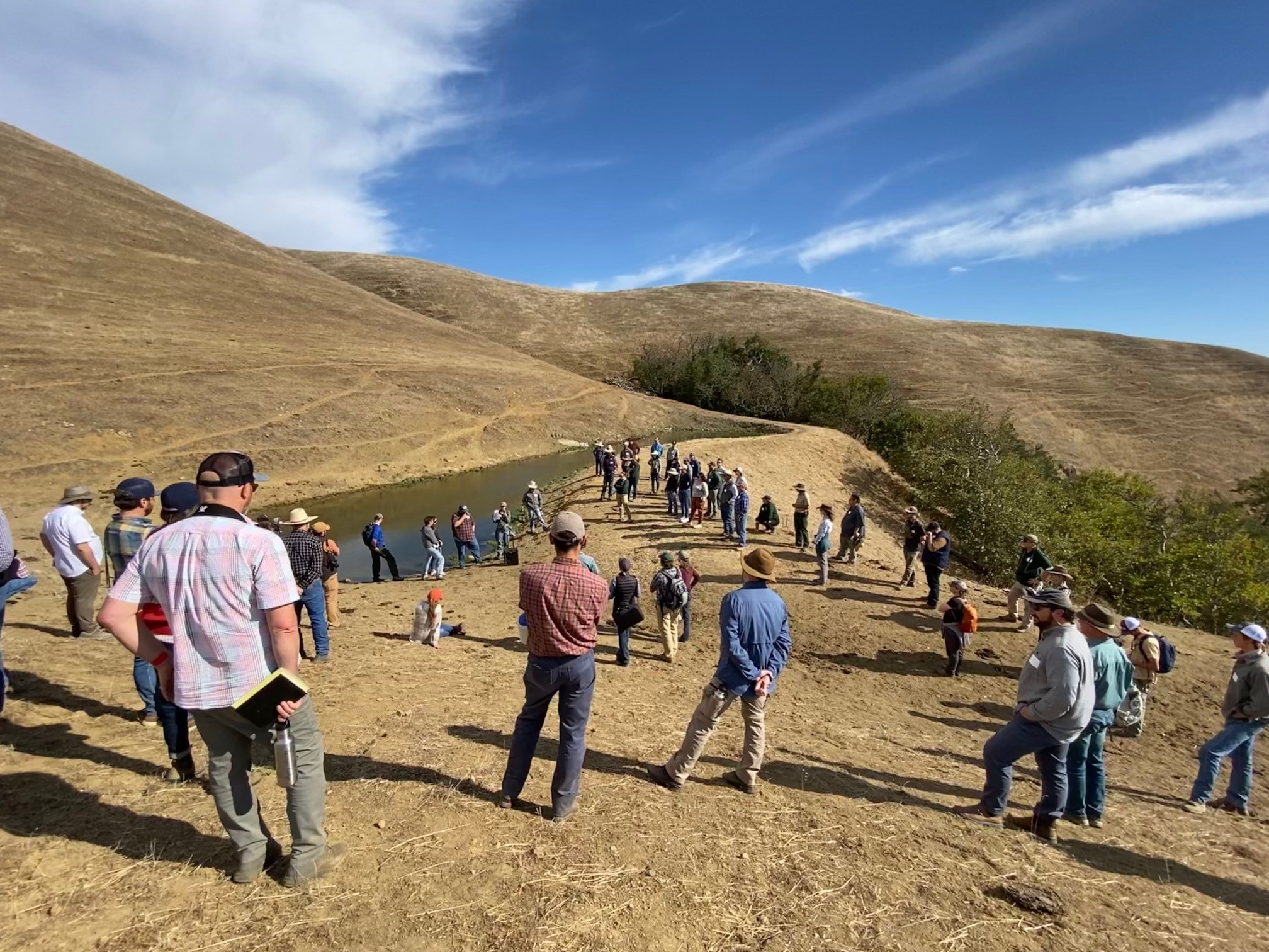 Enhancing the Habitat Value of Stock Ponds 2022 San Francisco Estuary Partnership