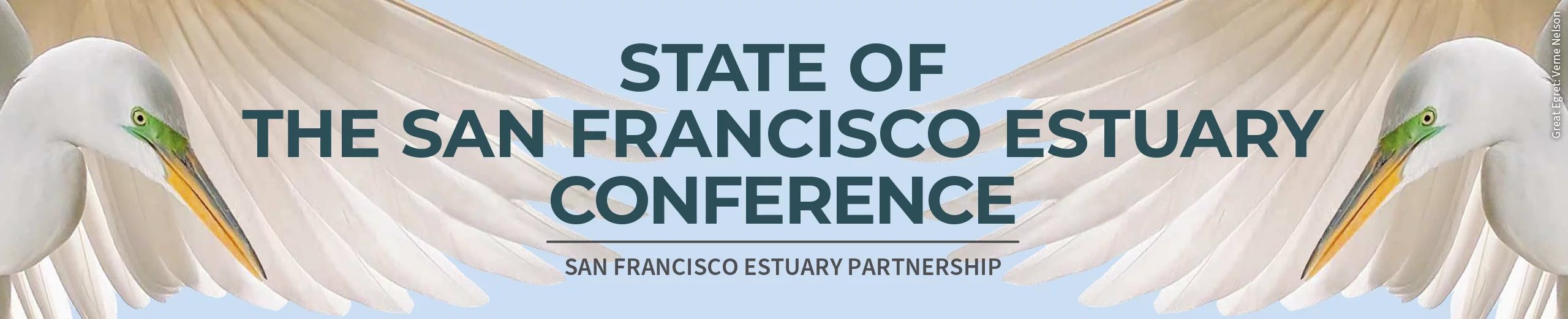 SOE Conference Web Banner