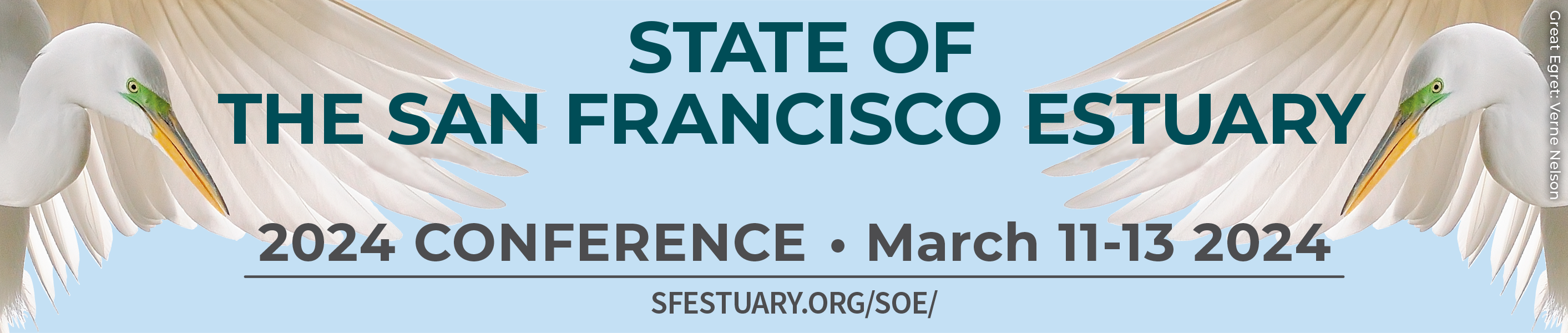 SOE Conference Web Banner