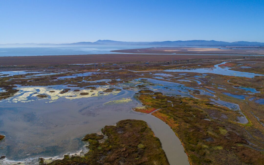 State Resource Agency Approves Plan for North Bay Habitat, Species Conservation