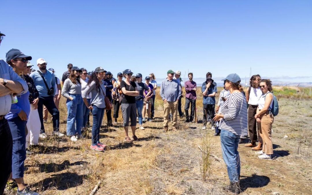 South Bay Salt Pond Restoration Tour: Bringing back the past and protecting the future