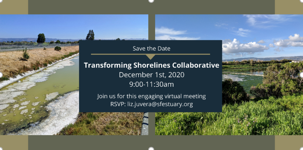 Save the Date for Transforming Shorelines Collaborative December 1st, 2020
