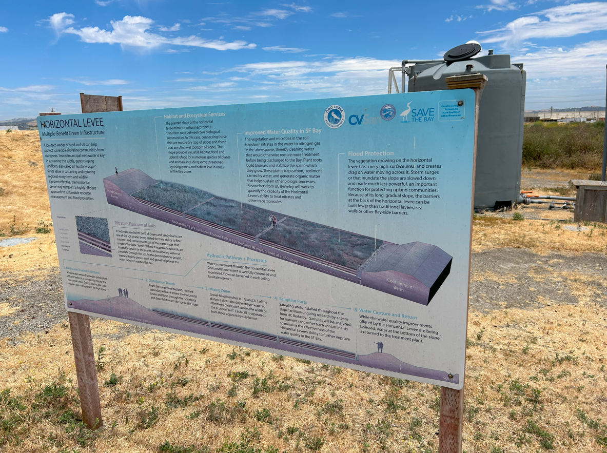 Oro Loma Horizontal Levee