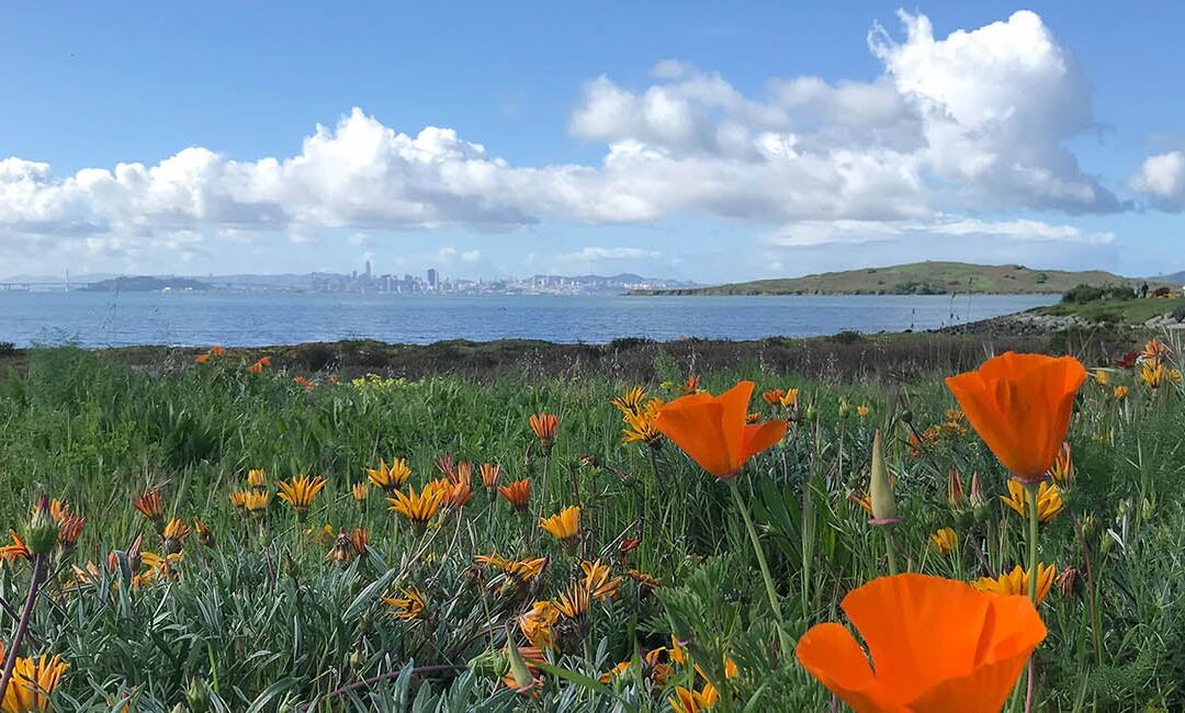 Priority Conservation Areas (PCA) Program Revised, New Call for Proposals Coming