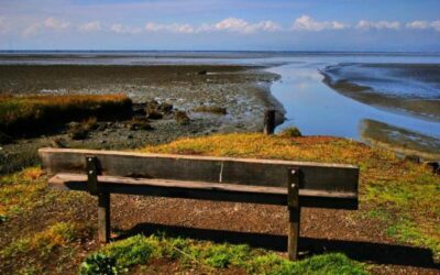 HASPA Shoreline Adaptation Implementation Plan