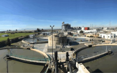 Hayward Nature-based Solutions Project