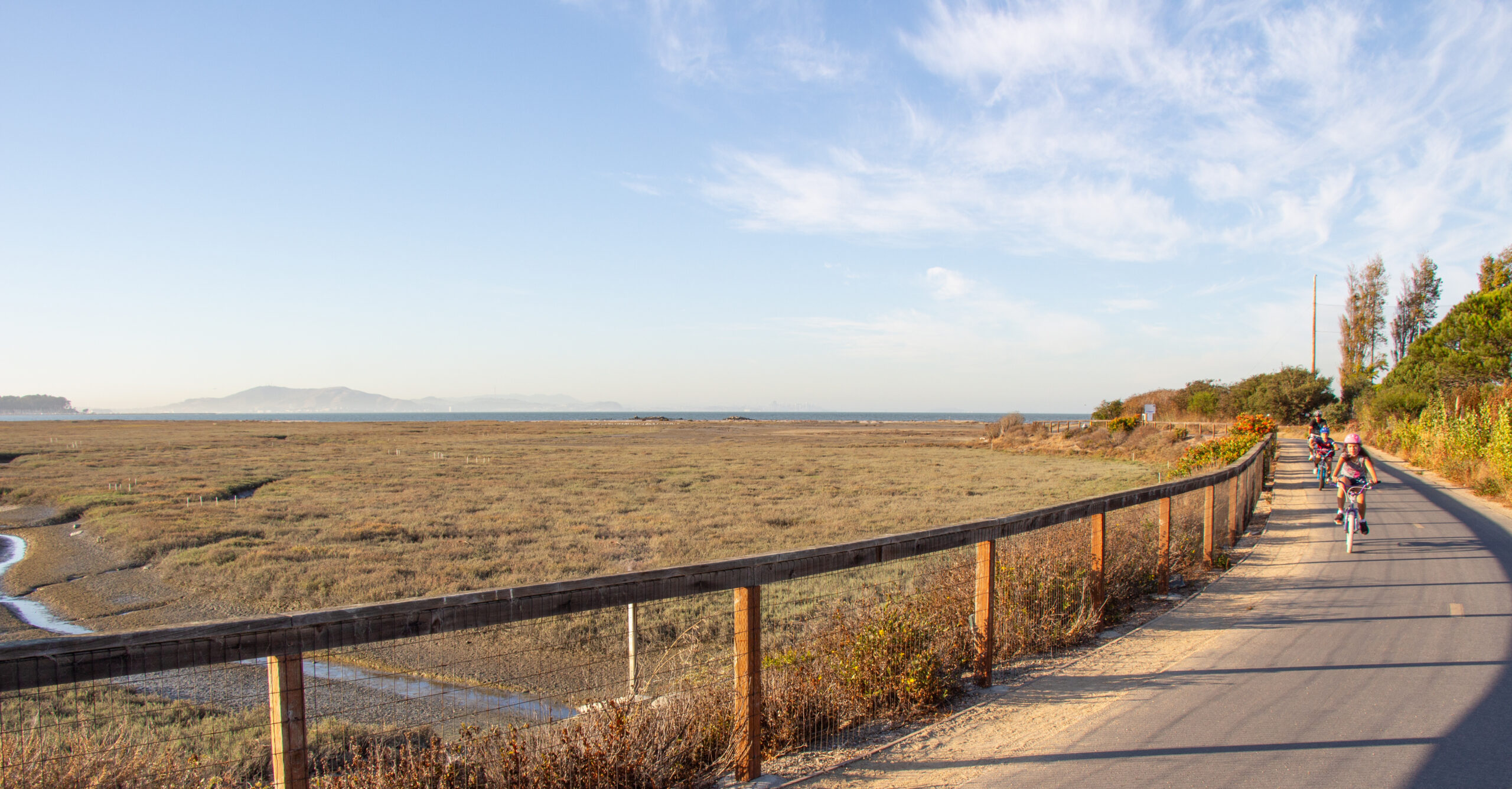 Ben Botkin Photo Photo of a walkway going into a wetlands. The grass is golden and the sky is blue with fluffy white clouds.