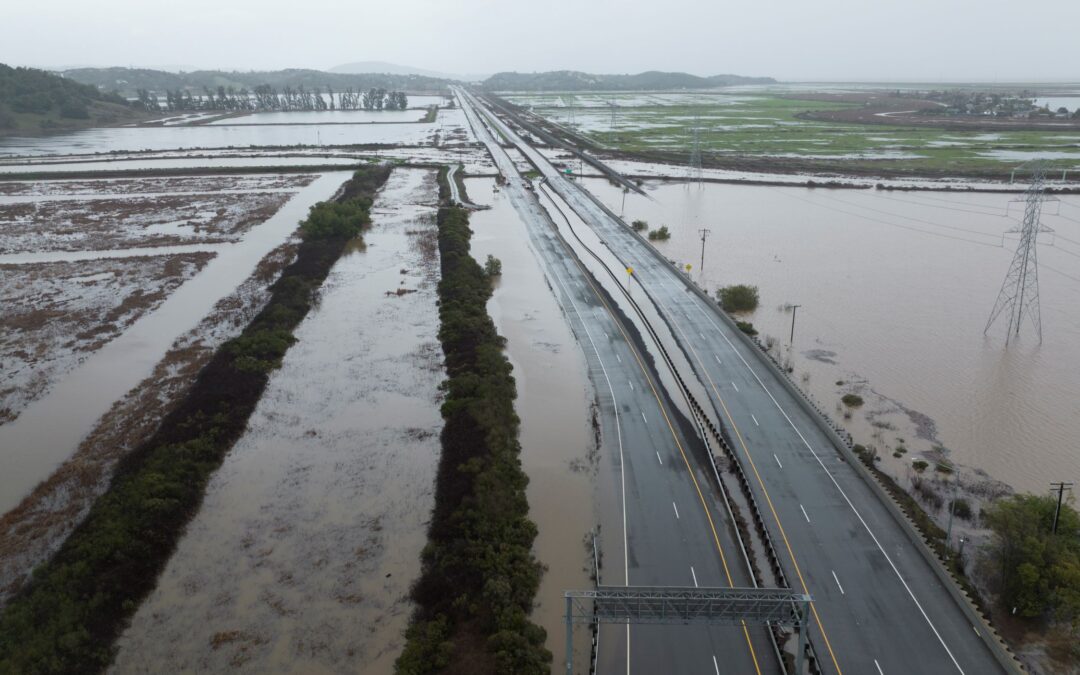 Study: SFEP works on Novato Creek Baylands Strategy