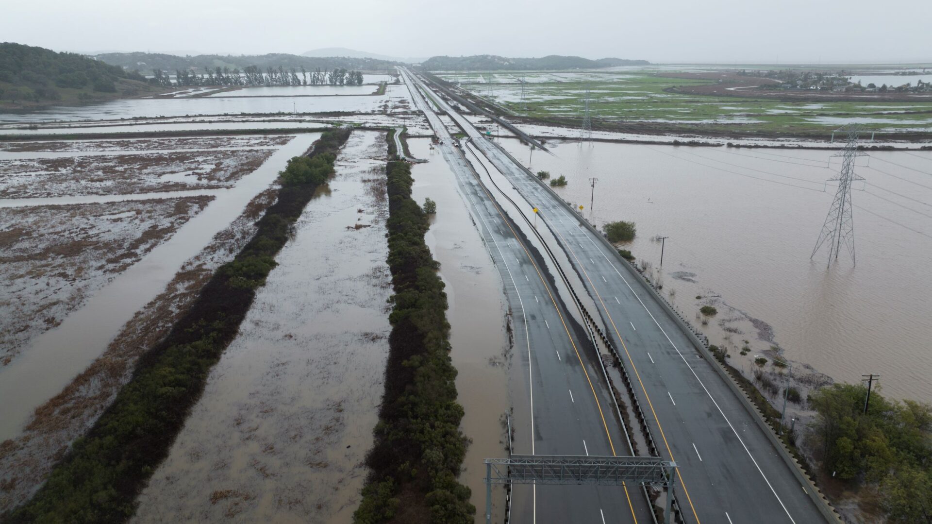 Study: SFEP works on Novato Creek Baylands Strategy